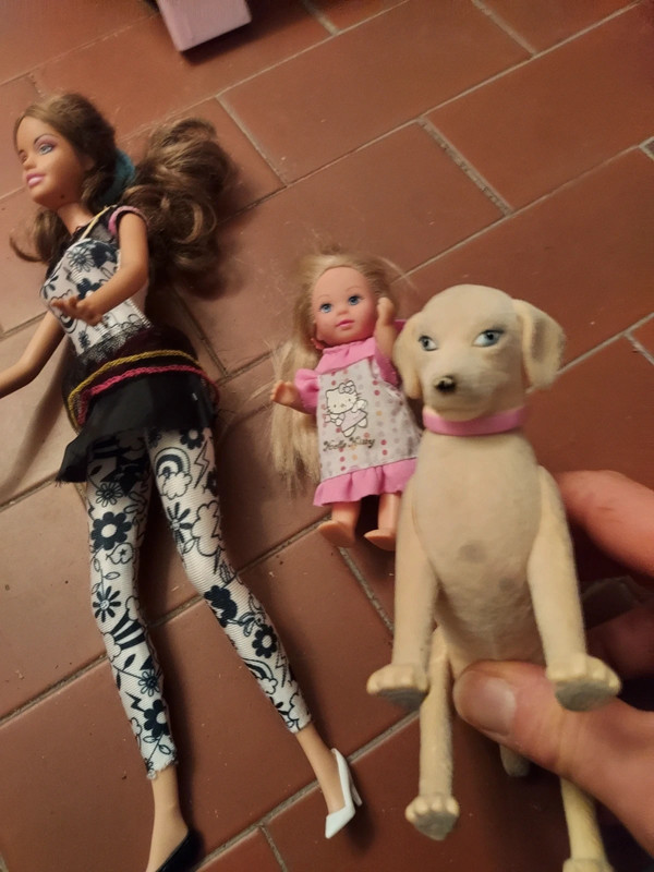 Barbie completa di accessori + barbie bambina e cane domestico
