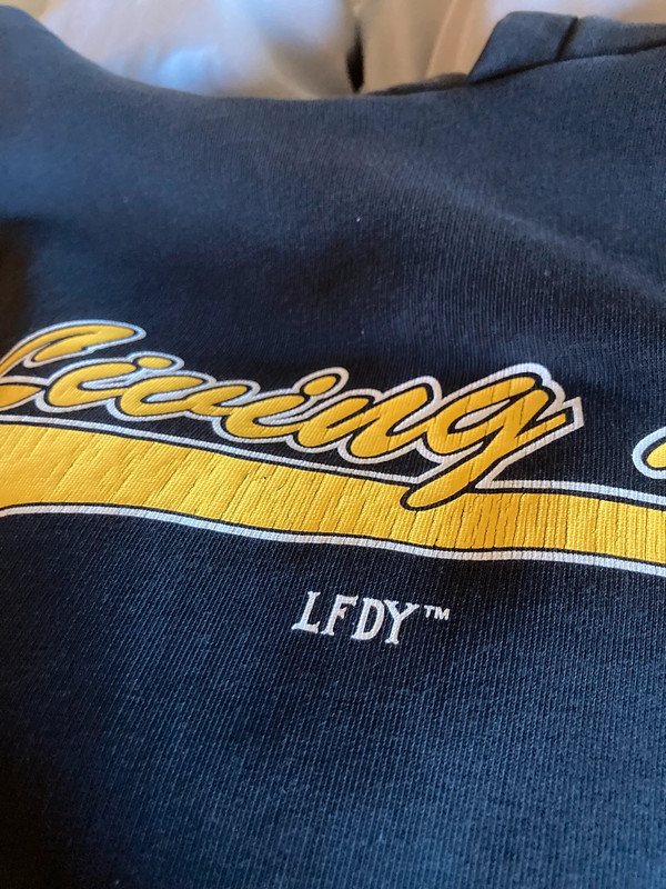 Ldfy hoodie 4