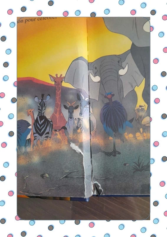 Livre le roi lion - photo numéro 2