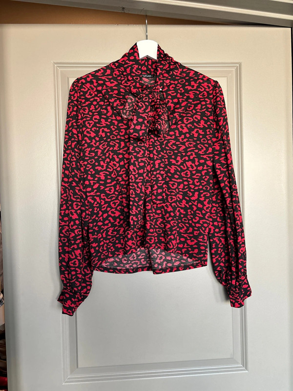 Zara Blouse 1