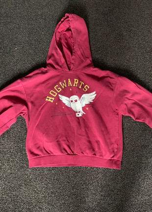 Leuke trui, marque: Harry Potter, état: Bon état, taille: 13 ans / 158 cm, 2,00 €, 2,80 € Protection acheteurs incluse