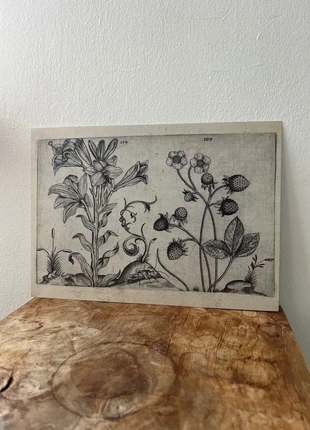 Madonnalelie en aardbei - Crispijn van de Passe - 1 ArtPrintCard A4 (21x29,7cm), état: Neuf, 3,25 €, 4,11 € Protection acheteurs (Pro) incluse