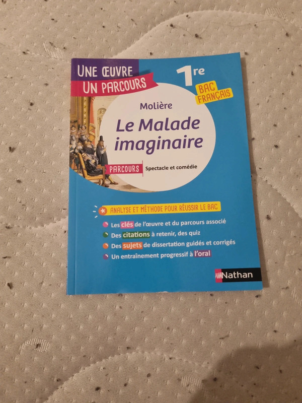 1re Bac Français 1