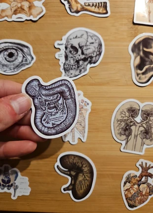 Lot de Stickers anatomie, collectors, brand: Stickers, condizioni: Nuovo con cartellino, €3.00, €3.85 include la Protezione acquisti