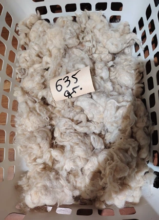 Laine brute de mouton, marque: LAINE, état: Très bon état, 8,99 €, 10,14 € Protection acheteurs incluse