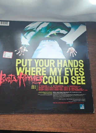 Busta Rhymes Put your hands where my eyes could see hip hop vinyl, staat: Heel goed, € 18,00, € 19,60 inclusief Kopersbescherming