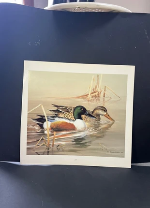 Planche animalier A3 décorative, scrapbooking, brand: Art, condition: Very good, €8.00, €9.10 includes Buyer Protection