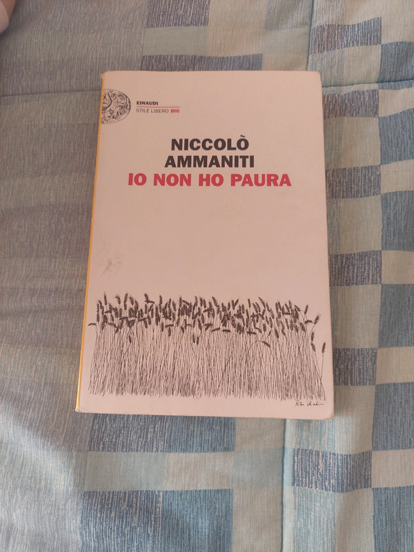 Io e te - Niccolò Ammaniti - Libro - Einaudi - Einaudi. Stile libero big