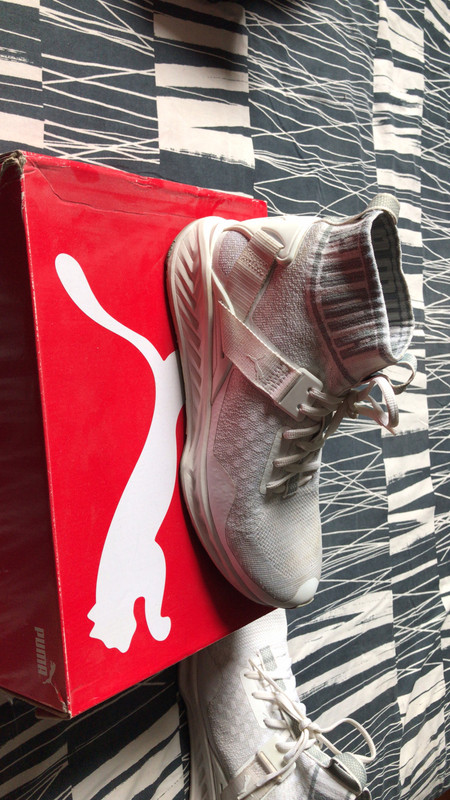 Basket puma ignite evoknit hot sale