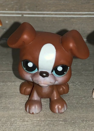 Littlest PetShop., brand: Littlest Pet Shop, condition: Very good, size: 4 years / 104 cm, €12.00, €13.30 includes Buyer Protection