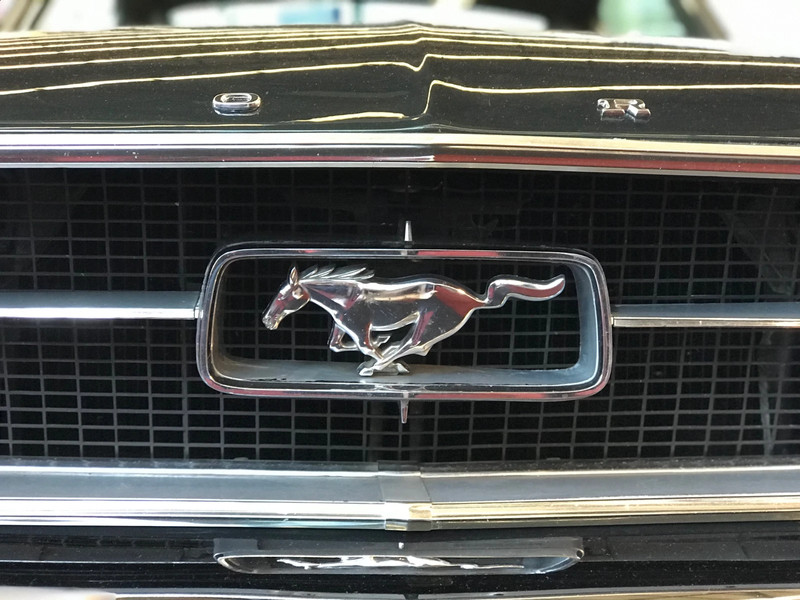 11mustang11 profile picture