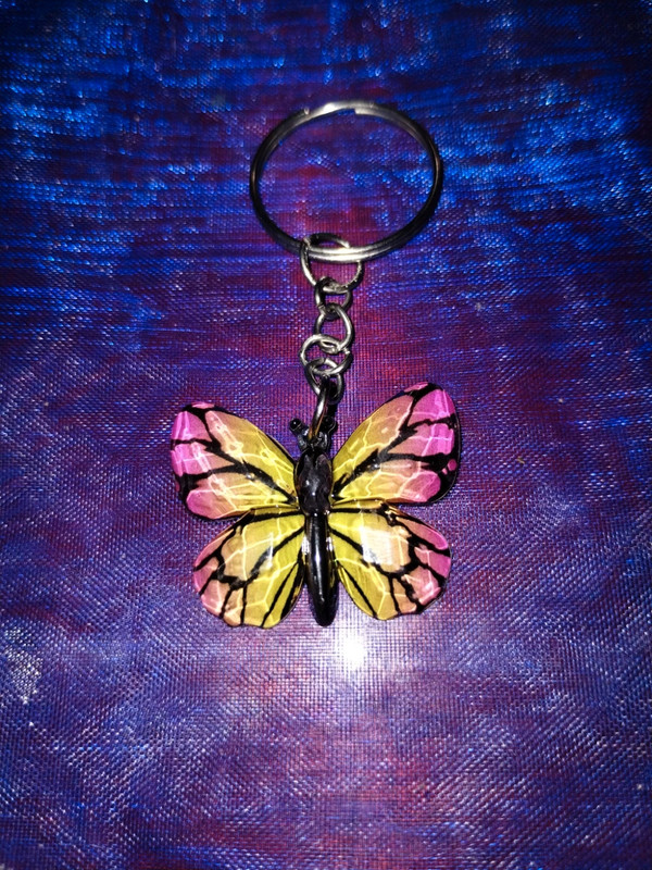 Beautiful colorful butterfly key ring 1