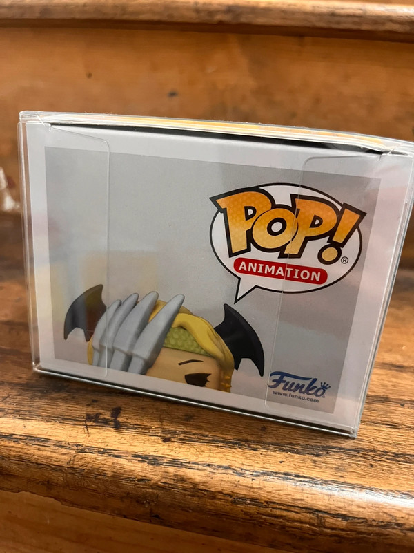 Ryukyu 1007 Funko MHA 5