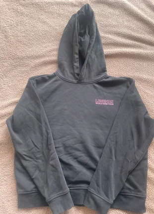 Grijze trui van Sting, merk: The Sting, staat: Heel goed, maat: L / 40 / 12, € 10,00, € 11,20 inclusief Kopersbescherming