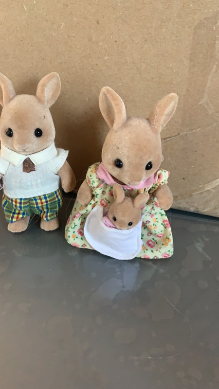 Famille Kangourou Sylvanian Families Au Complet Vinted