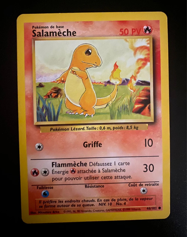 Bloc de construction Pokémon Boutique Salamèche - Carte Pokemon Rare