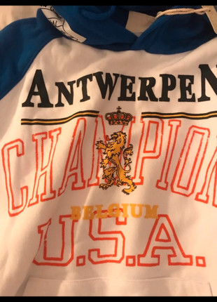 Vetements x champion antwerpen hoodie Vinted