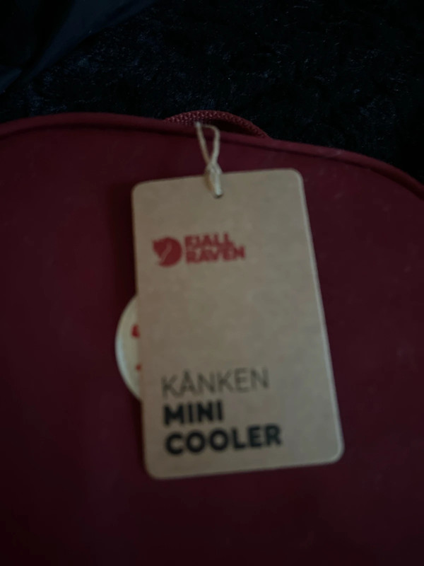Fjallraven Kanken Mini Cooler Lunch Bag Never Used Vinted