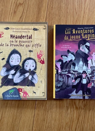Lot de 2 livres d’aventure pour enfant, staat: Goed, € 4,00, € 4,90 inclusief Kopersbescherming