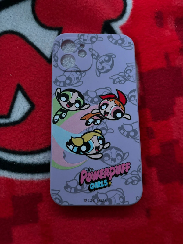 Ppg iPhone 12 case 4