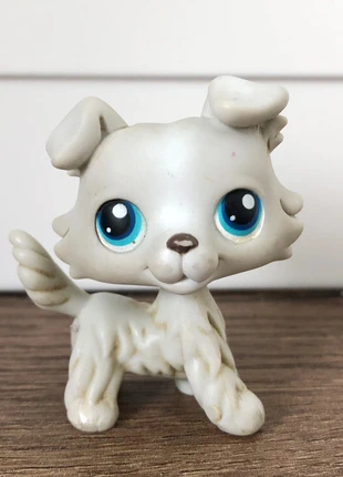 Littlest Pet Shop #363 collie petshop , merk: Petshop, staat: Goed, maat: Universeel, € 8,00, € 9,10 inclusief Kopersbescherming