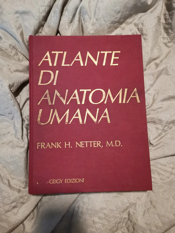 Netter, Atlante di Anatomia Umana