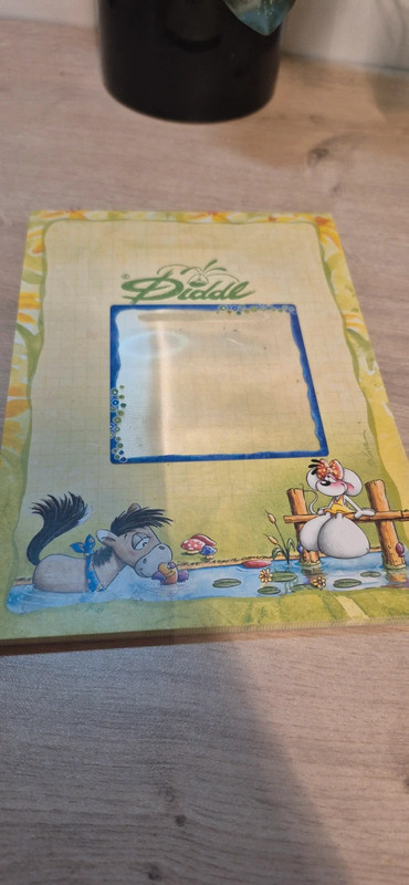Carnet de feuilles diddl - photo numéro 2