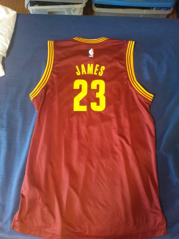 Maglia Lebron James - Vinted