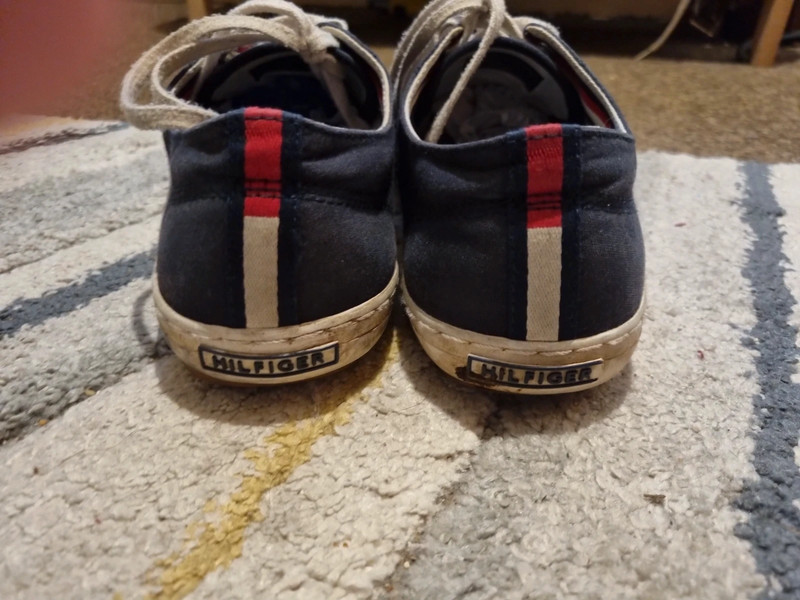 Tommy hilfiger mens canvas 2025 shoes