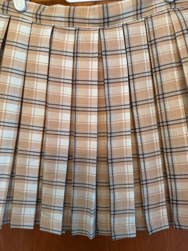 Plaid Pleated Mini Skirt 2