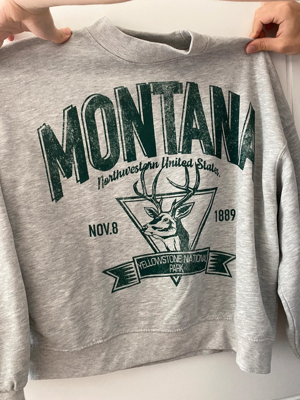 Sweatshirt/ hoodie oversize cinzenta com design verde Montana 1