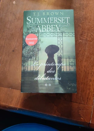 Roman ado, Summerset Abbey tome 2, estado: Muito bom, €1.50, €2.28 inclui Proteção do Comprador