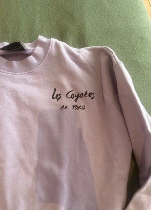 paarse trui lcdp, merk: Les Coyotes De Paris, staat: Heel goed, maat: 16 jaar / 176 cm, € 10,00, € 11,20 inclusief Kopersbescherming