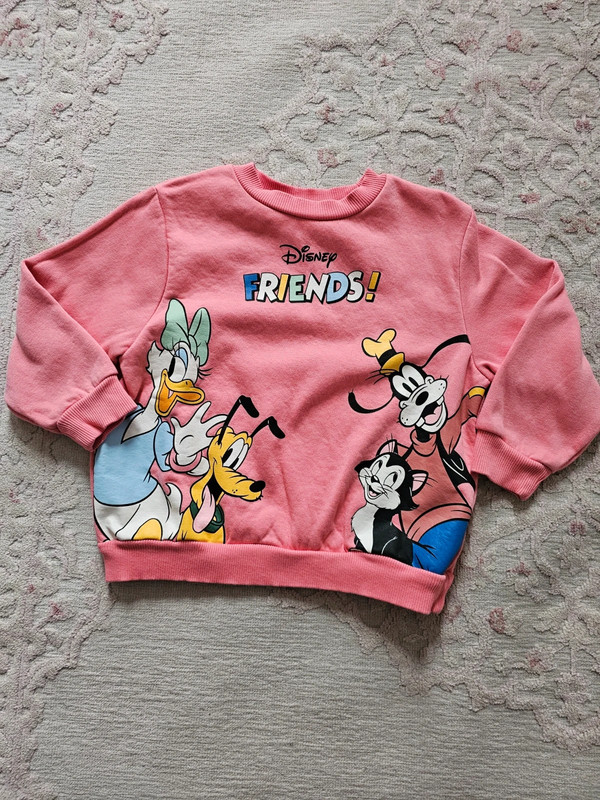 Pink Disney Friends sweatshirt 1