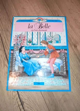 La Belle au bois dormant – Livre pop-up en relief – Éditions Lito 1994, staat: Heel goed, € 15,00, € 16,45 inclusief Kopersbescherming Pro