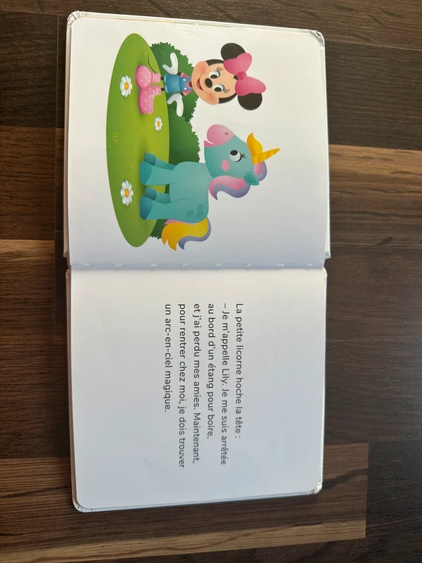 Livre Disney - photo numéro 3