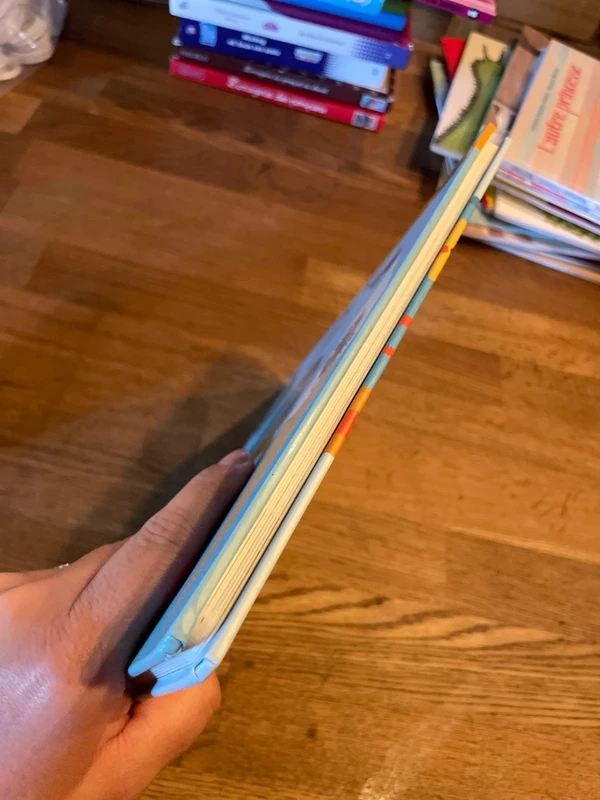 Livre cartonné Les surprenantes odeur de la plage Mon grand imagier des odeurs - photo numéro 4