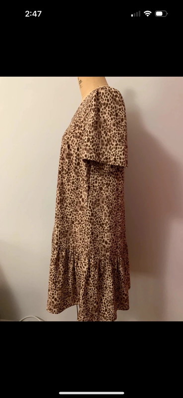 Leopard Print Dress 2