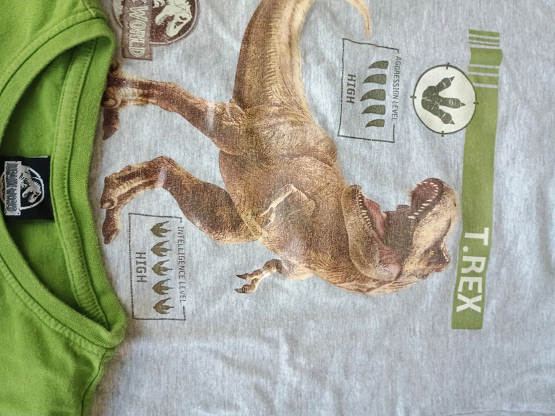 Jurassic Word Dino T-Shirt 4