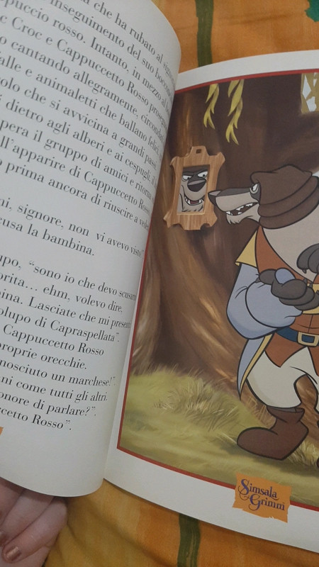 Libro di cappuccetto rosso, simsala grimm