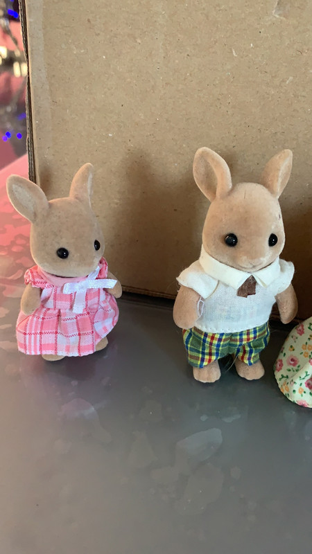 Famille Kangourou Sylvanian Families Au Complet Vinted