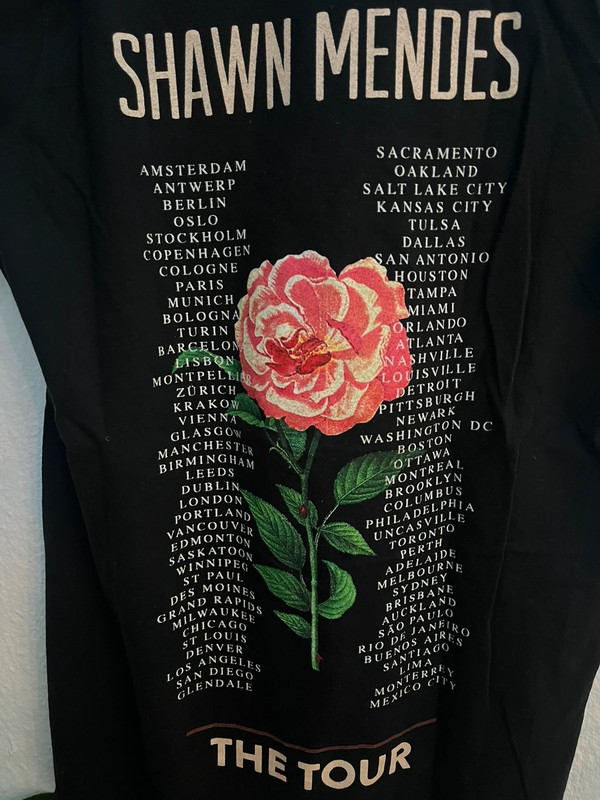 Shawn mendes tour hoodie 2019 shop