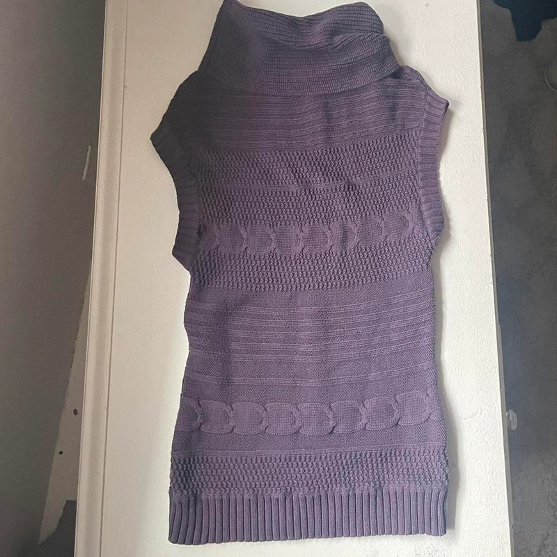 purple turtleneck dress from axcess 1