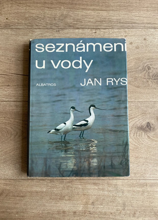 Obrázek k inzerátu: Jan Rys - Seznámení u vody