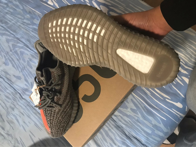 Yeezy Boost 350 V2 Adults Beluga Rf / Steeple Gray / Solar Red