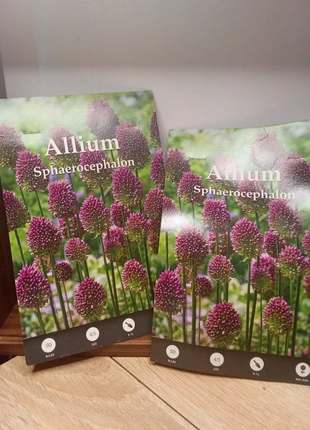 Bulbes de fleur, marque: Fleur, état: Neuf avec étiquette, 5,00 €, 5,95 € Protection acheteurs incluse