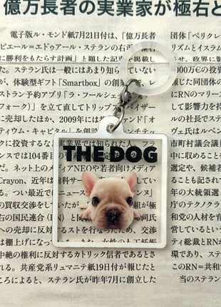 Porte-clés TheDog strap trinket japonais, état: Neuf sans étiquette, 2,55 €, 3,38 € Protection acheteurs incluse