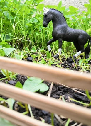 /schleich/étalon frison concours équestre, marca: Schleich, estado: Muito bom, tamanho: Tamanho único, €9.90, €11.10 inclui Proteção do Comprador