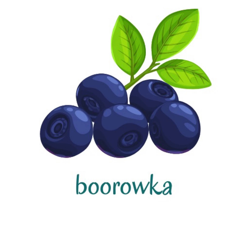 boorowka profile picture