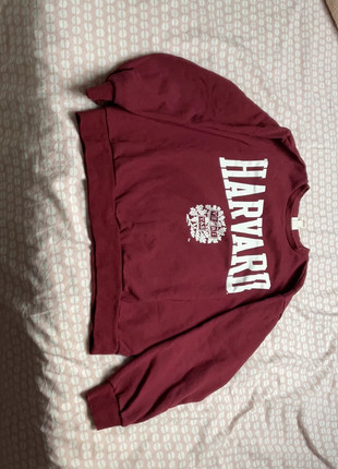 Pull Harvard HM, marke: H&M, zustand: Sehr gut, größe: M / 38 / 10, 5,00 €, 5,95 € inklusive Vinted-Käuferschutz